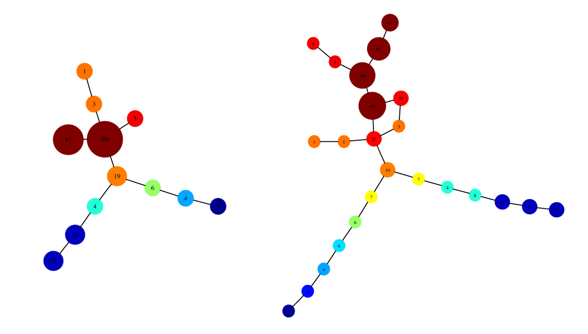 An application of the Mapper algorithm to analyzing data on diabetes risk factors